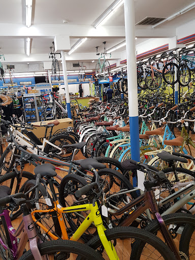 Bicycle Store «Quad Cycles», reviews and photos, 1043 Massachusetts Ave, Arlington, MA 02476, USA