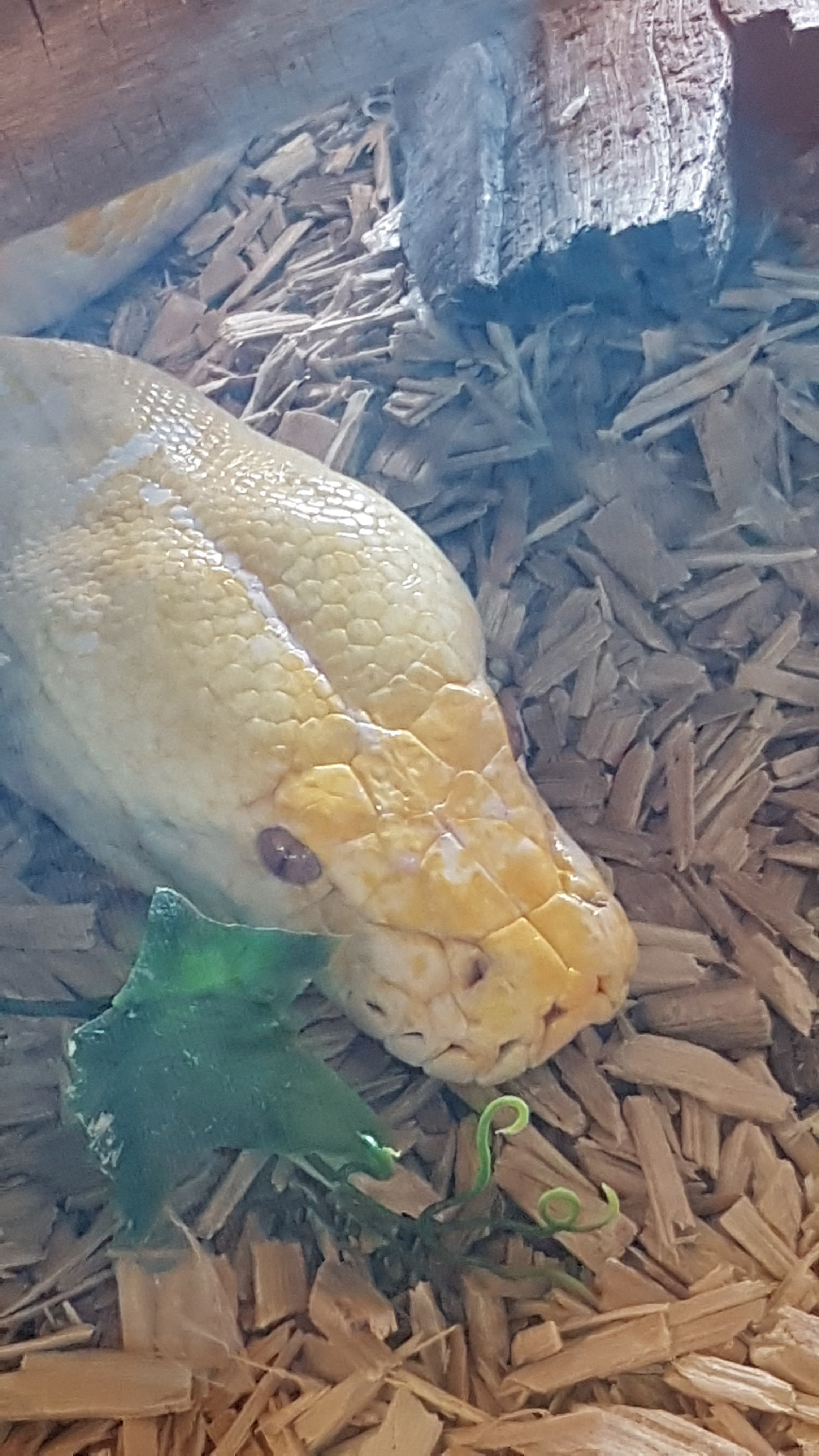 Photo n° 2 de l'avis de Claude.h fait le 27/07/2019 à 11:05