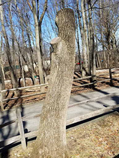 Museum «EcoTarium», reviews and photos, 222 Harrington Way, Worcester, MA 01604, USA