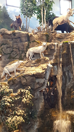 Sporting Goods Store «Bass Pro Shops Base Camp», reviews and photos, 2500 E Kearney St, Springfield, MO 65803, USA