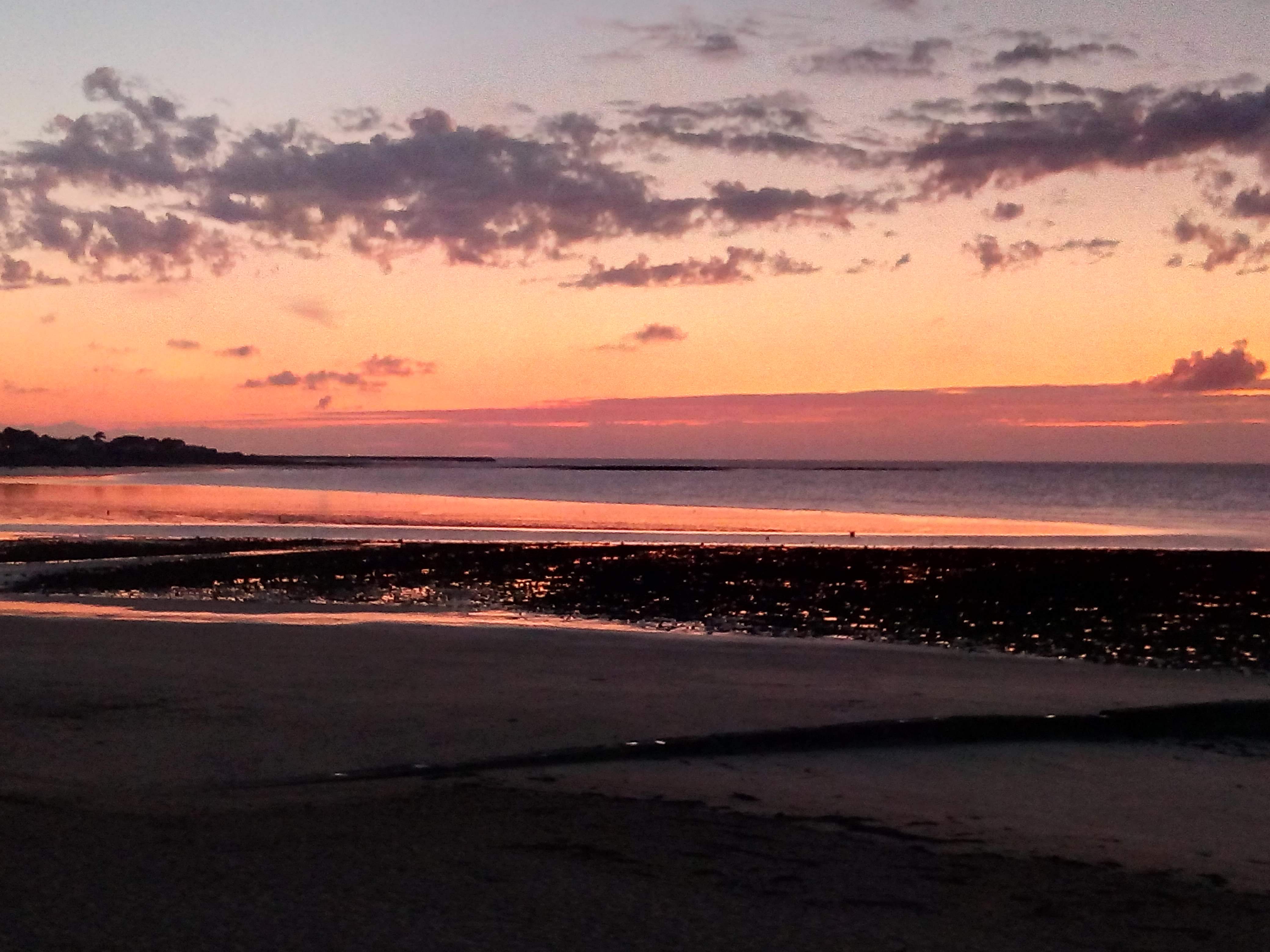Photo n° 32 de l'avis de Mick53.i fait le 21/08/2019 à 20:02
