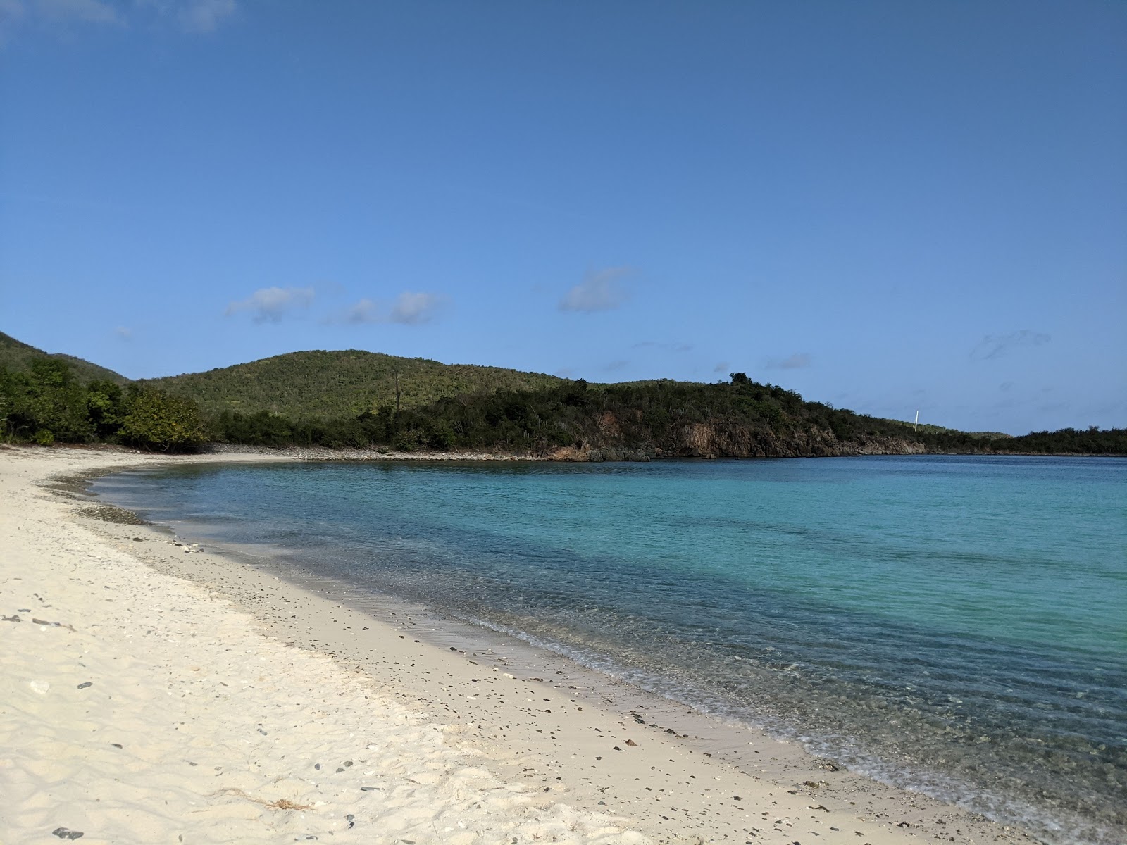 Lameshur beach的照片 野外区域
