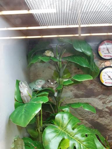 Pet Supply Store «Petco Animal Supplies», reviews and photos, 4751 W 29th St, Greeley, CO 80634, USA