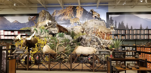 Outdoor Sports Store «Field & Stream», reviews and photos, 24600 Katy Fwy Ste 1100B, Katy, TX 77493, USA