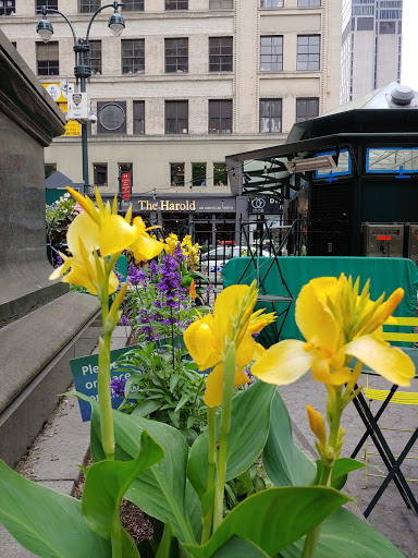 Park «Weequahic Park», reviews and photos, Elizabeth Ave & Meeker Ave, Newark, NJ 07112, USA