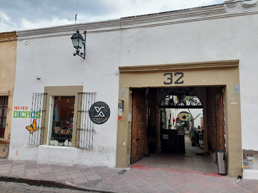 Museo de Bichos Querétaro