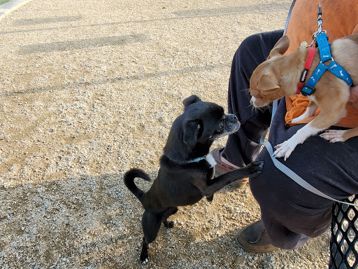 Dog Park «Bay Park Dog Park», reviews and photos, 2 Marjorie Ln, East Rockaway, NY 11518, USA