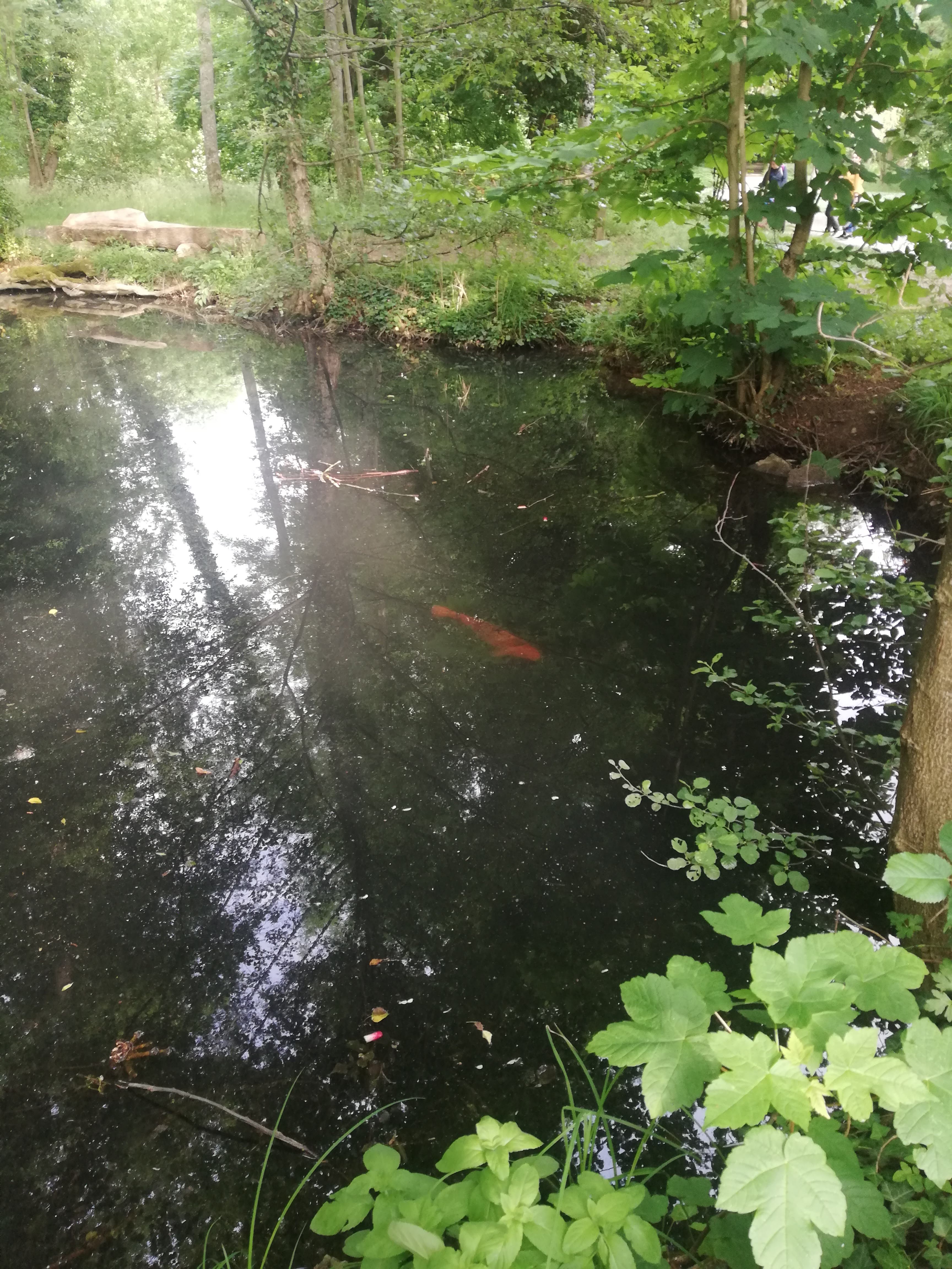 Photo n° 1 de l'avis de Kali.a fait le 22/05/2022 à 19:59