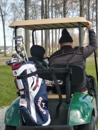 Golf Course «Dundee Golf Club», reviews and photos, 13851 S Custer Rd, Dundee, MI 48131, USA