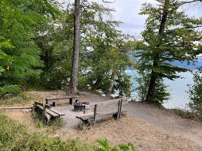 Grillplatz - Küssnacht SZ