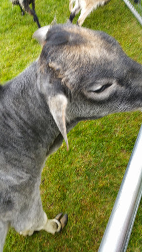 Park «Sinatra Park», reviews and photos, Sinatra Dr, Hoboken, NJ 07030, USA