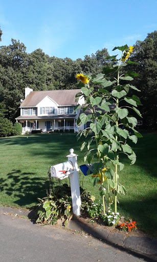 Golf Club «Ellington Ridge Country Club», reviews and photos, 56 Abbott Road, Ellington, CT 06029, USA