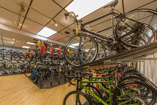 Bicycle Store «Keswick Cycle Glenside», reviews and photos, 408 N Easton Rd, Glenside, PA 19038, USA