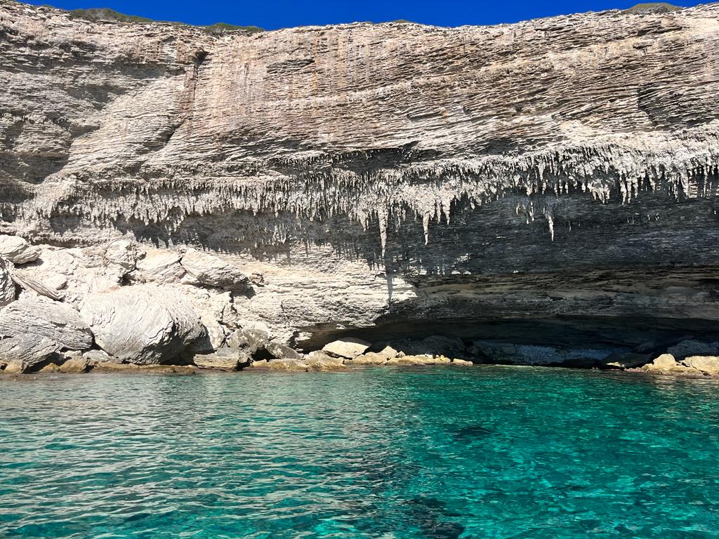 Photo n° 34 de l'avis de DESOLI.l fait le 12/09/2022 à 14:52
