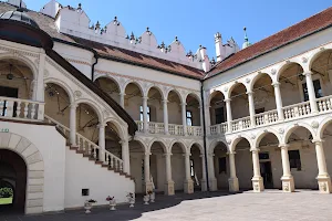 Baranów Sandomierski. Zespół pałacowo - parkowy image