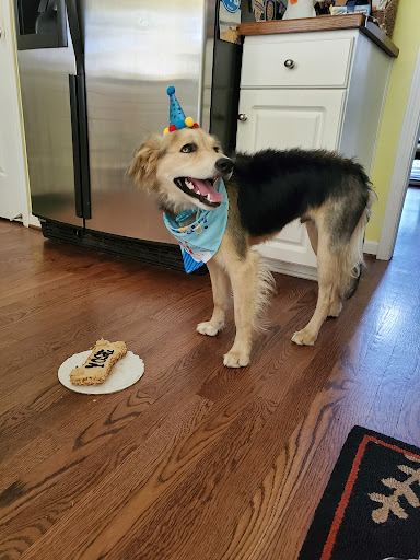 Pet Supply Store «Three Dog Bakery Inc», reviews and photos, 3929 Chenoweth Square, Louisville, KY 40207, USA