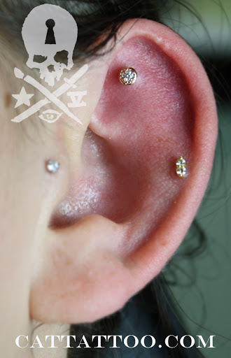 Explore husky tattoo ideas, creative tattoo ideas in Addison, available at Cat Tattoo