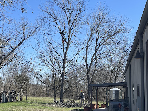 Eastern Shore Tree Service And Lawn Service 5
