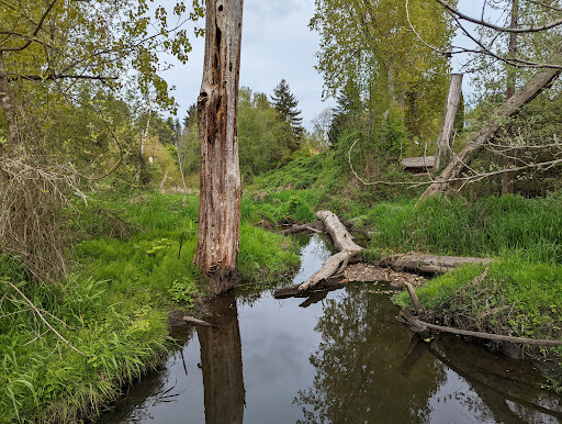 Beaver Pond Natural Area