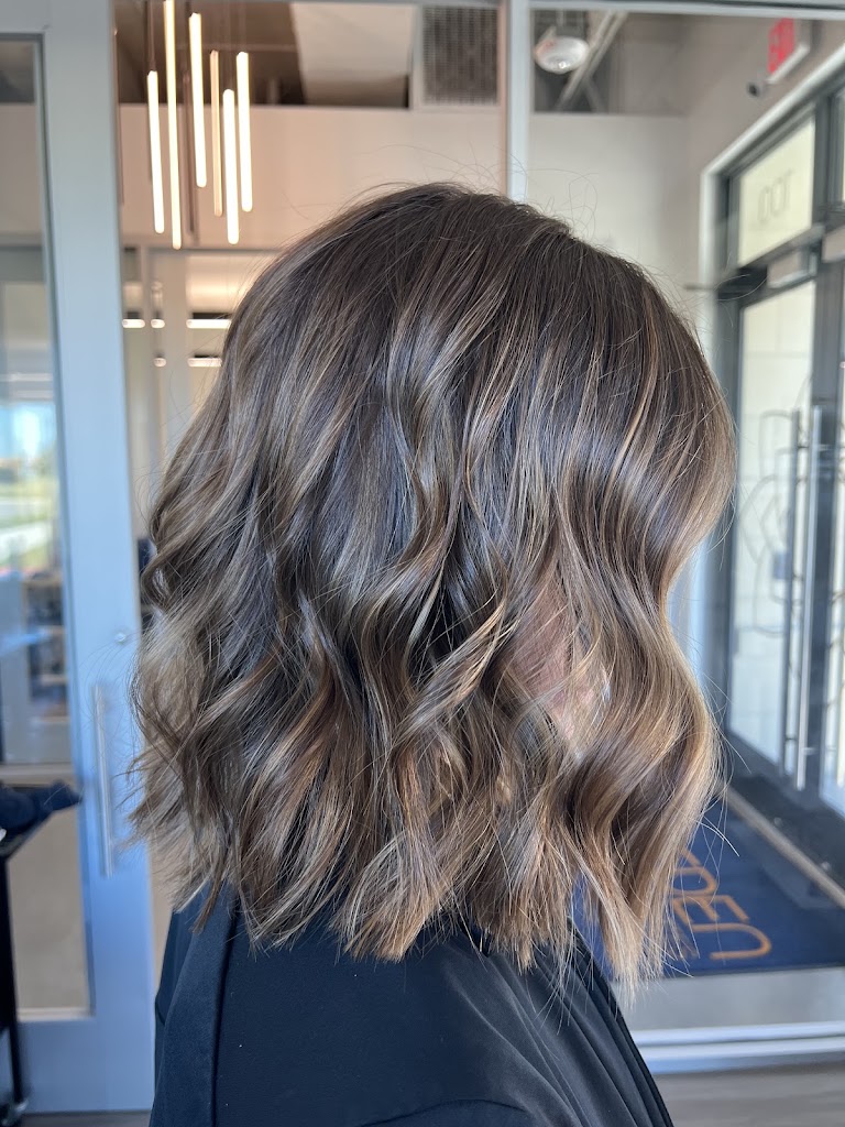 The Color Society Salon 77044