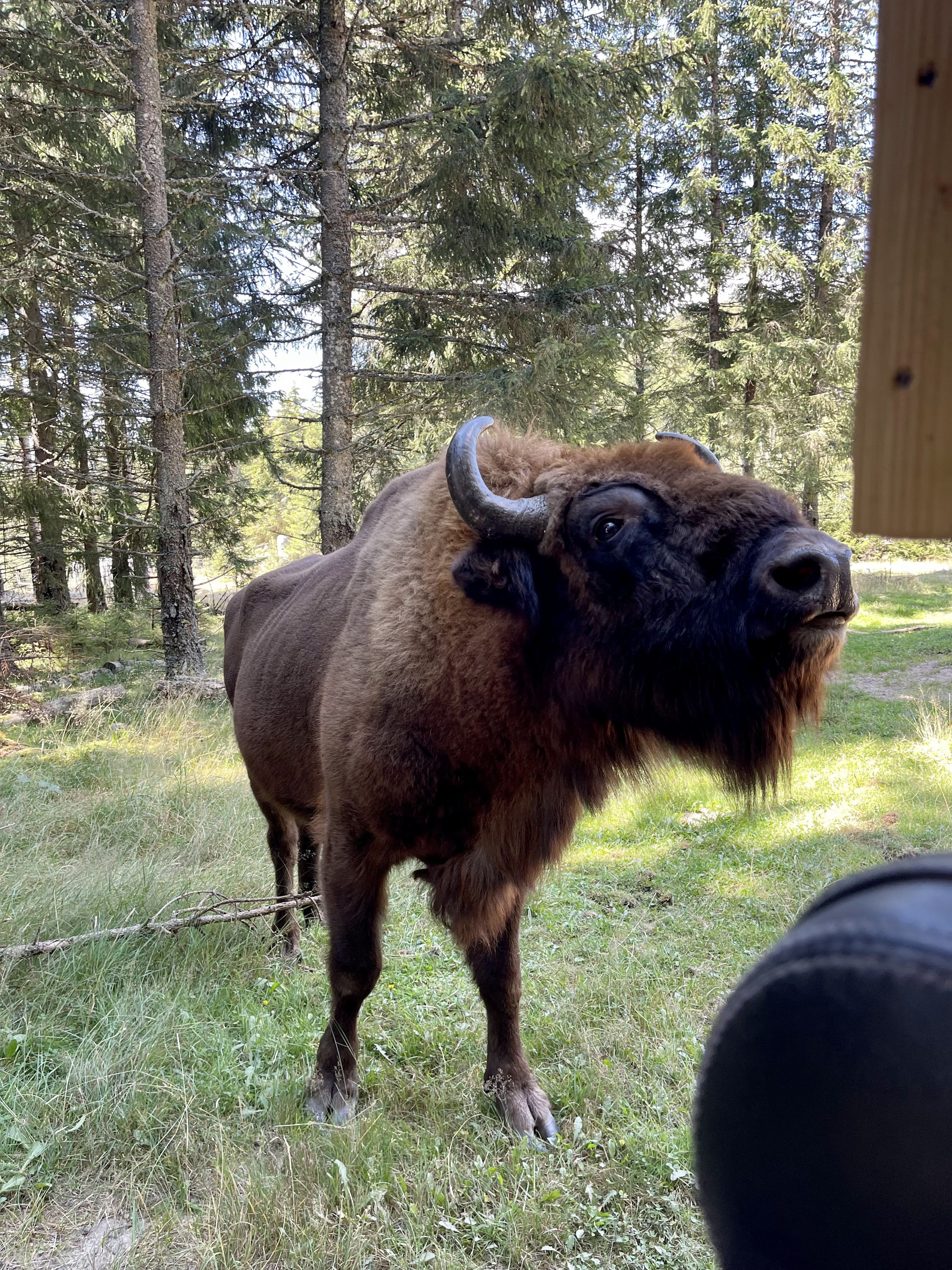 Photo n° 4 de l'avis de Karine.o fait le 30/08/2021 à 17:46