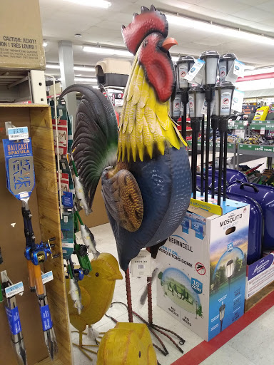 Home Improvement Store «Tractor Supply Co.», reviews and photos, 540 Water St #100, Chardon, OH 44024, USA