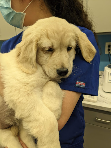 Shopping Mall «Shillington Shopping Center», reviews and photos, 502 E Lancaster Ave, Reading, PA 19607, USA