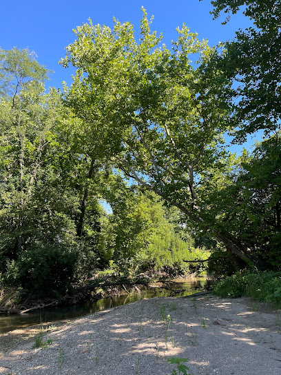 Kinnikinnick Creek Trail