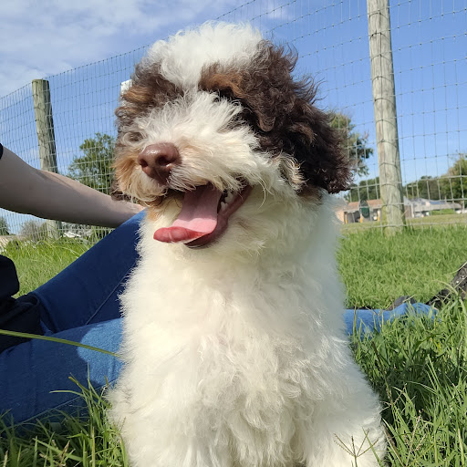 Pet Store «PV Pets», reviews and photos, 233 S Broadway, Pennsville, NJ 08070, USA