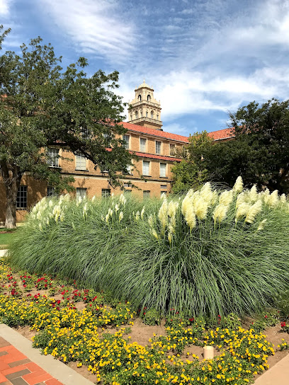 Texas Tech Graduate School