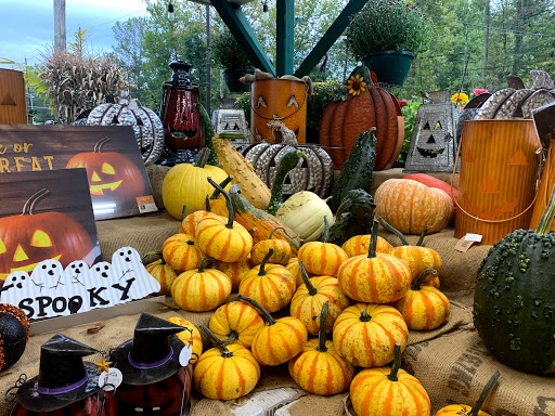 Market «Green Top Farm Market», reviews and photos, 1811 NJ-70, Southampton Township, NJ 08088, USA