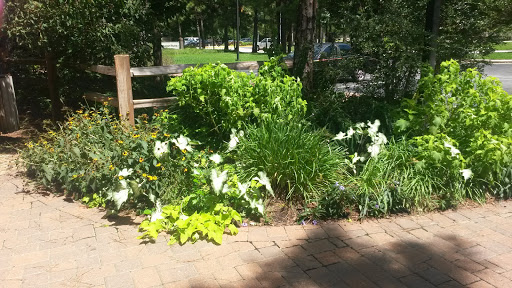 Park «Cy-Champ Park», reviews and photos, 14619 Cutten Rd, Houston, TX 77070, USA