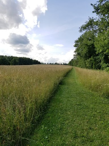 Vineyard «Haight Vineyard», reviews and photos, 29 Chestnut Hill Rd, Litchfield, CT 06759, USA