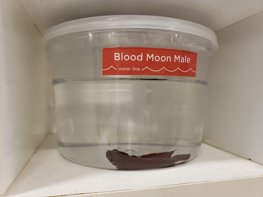 Pet Supply Store «Petco Animal Supplies», reviews and photos, 1415 E Warner Rd, Gilbert, AZ 85296, USA