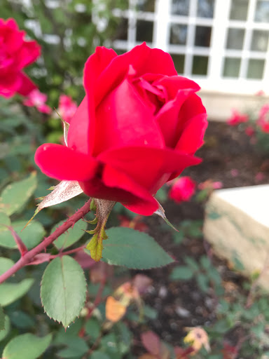 National Park «Herbert Hoover National Historic Site», reviews and photos, 110 Parkside Dr, West Branch, IA 52358, USA