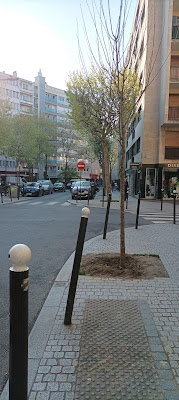 Pâtisserie Boulangerie Brard à Clamart