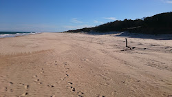 Zdjęcie Mcloughlins Beach z poziomem czystości wysoki