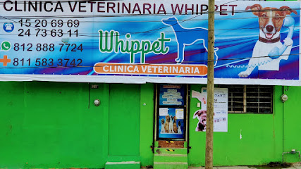 Hospital Veterinario Whippet