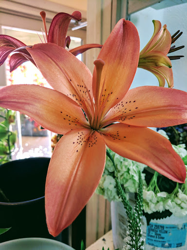 Florist «Tiger Lily Florist», reviews and photos, 10271 S Eastern Ave #113, Henderson, NV 89052, USA