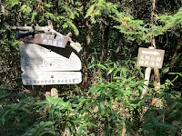 天然公園