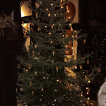 Photo n°1 de l'avis de Thorsten.e fait le 10/12/2023 à 16:40 sur le  Gasthof am Obertor, Töttelstädt à Erfurt