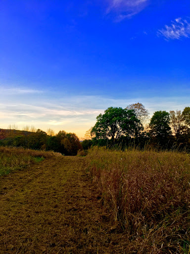 State Park «Goosepond Mountain State Park», reviews and photos, 1198 New York 17M, Chester, NY 10918, USA