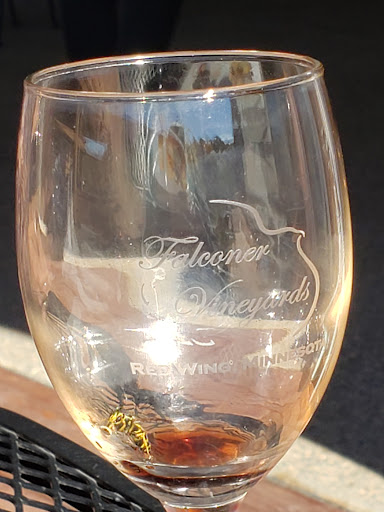 Winery «Falconer Vineyards», reviews and photos, 3572 Old Tyler Rd, Red Wing, MN 55066, USA