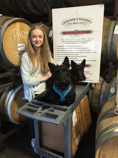 Winery «Stephen & Walker Winery», reviews and photos, 243 Healdsburg Ave, Healdsburg, CA 95448, USA