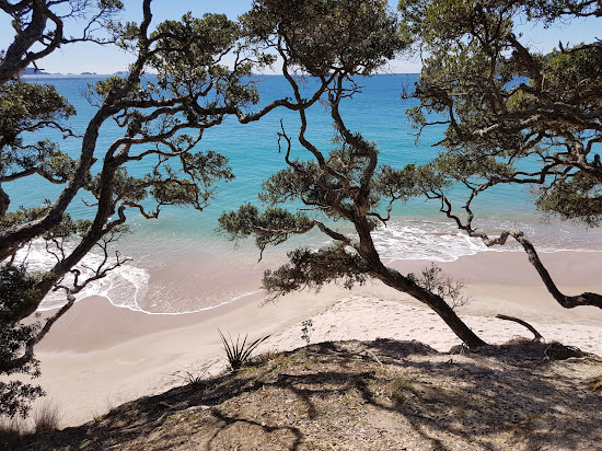Stingray Bay