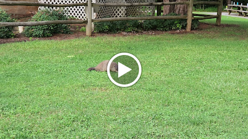 Golf Course «Bur-Mil Park Golf Course», reviews and photos, 5834 Bur-Mill Club Rd, Greensboro, NC 27410, USA