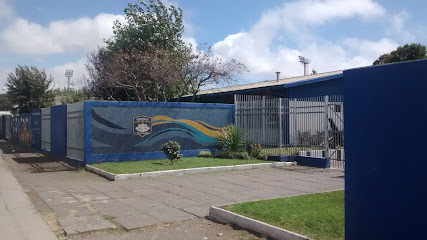 Escuela 'arturo Prat Chacón' D 460
