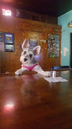 Liquor Store «Oasis Liquors», reviews and photos, 1103 W 15th St, Panama City, FL 32401, USA