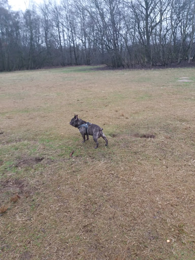 Parc canin Desguinlei