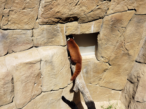 Zoo «Central Coast Zoo Society», reviews and photos, 9305 Pismo Ave, Atascadero, CA 93422, USA